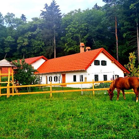 Villa Turisticna Kmetija Hisa Ob Gozdu Pri Ptuju Exterior foto