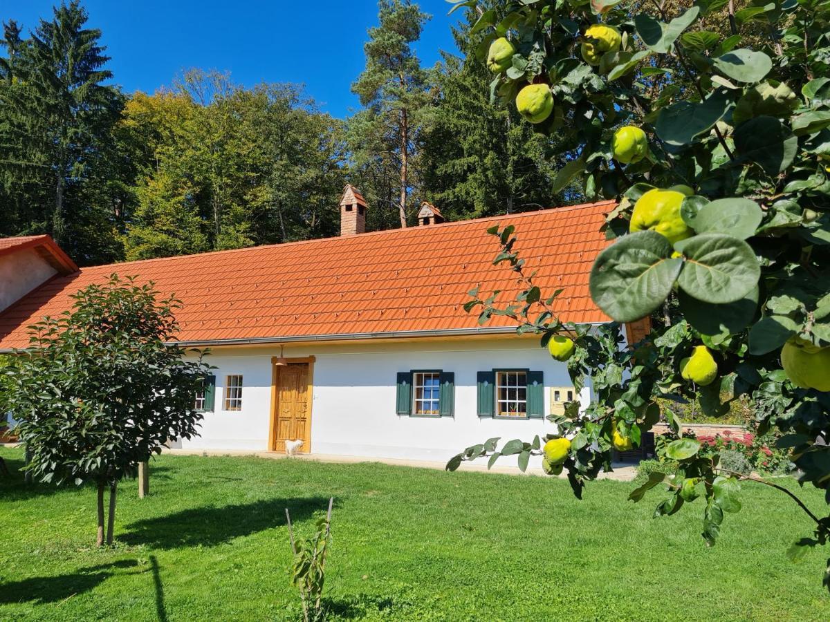 Villa Turisticna Kmetija Hisa Ob Gozdu Pri Ptuju Exterior foto