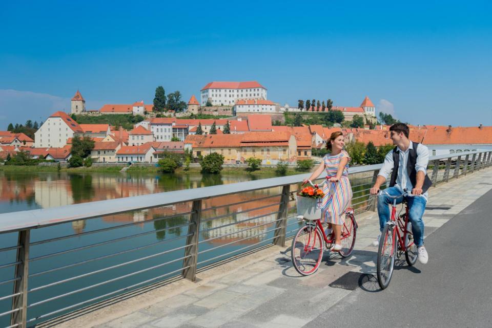 Villa Turisticna Kmetija Hisa Ob Gozdu Pri Ptuju Exterior foto