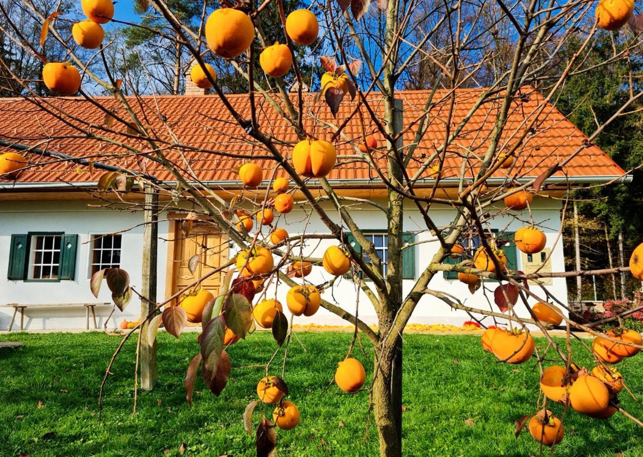 Villa Turisticna Kmetija Hisa Ob Gozdu Pri Ptuju Exterior foto