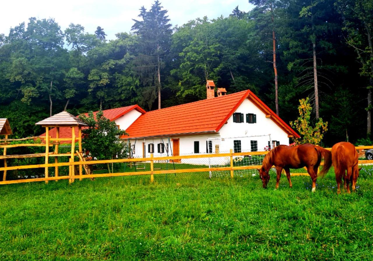 Villa Turisticna Kmetija Hisa Ob Gozdu Pri Ptuju Exterior foto