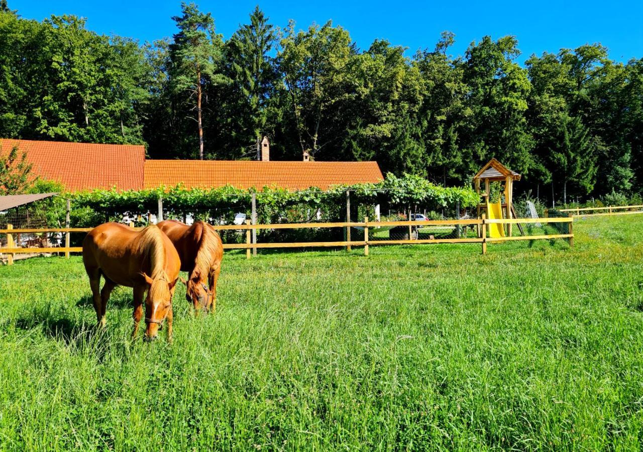 Villa Turisticna Kmetija Hisa Ob Gozdu Pri Ptuju Exterior foto