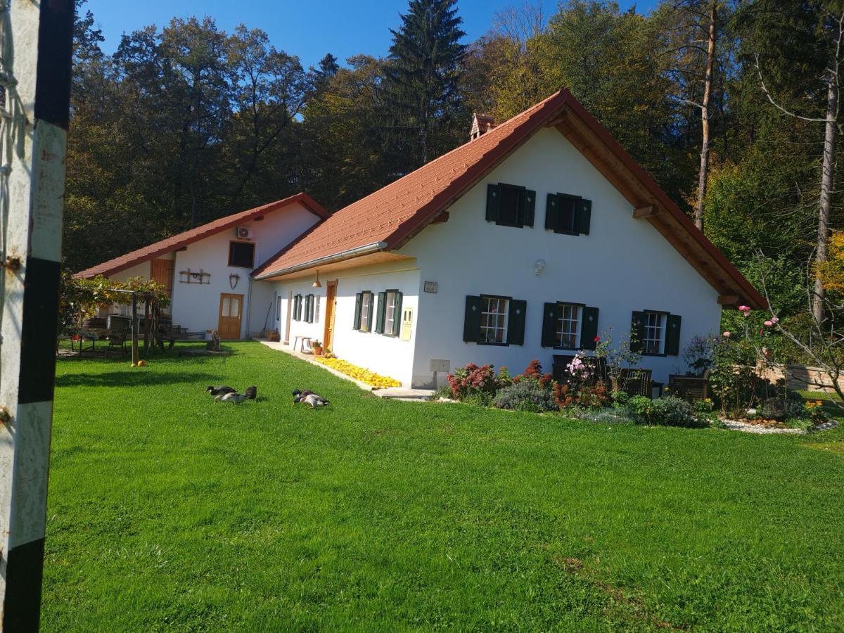 Villa Turisticna Kmetija Hisa Ob Gozdu Pri Ptuju Exterior foto