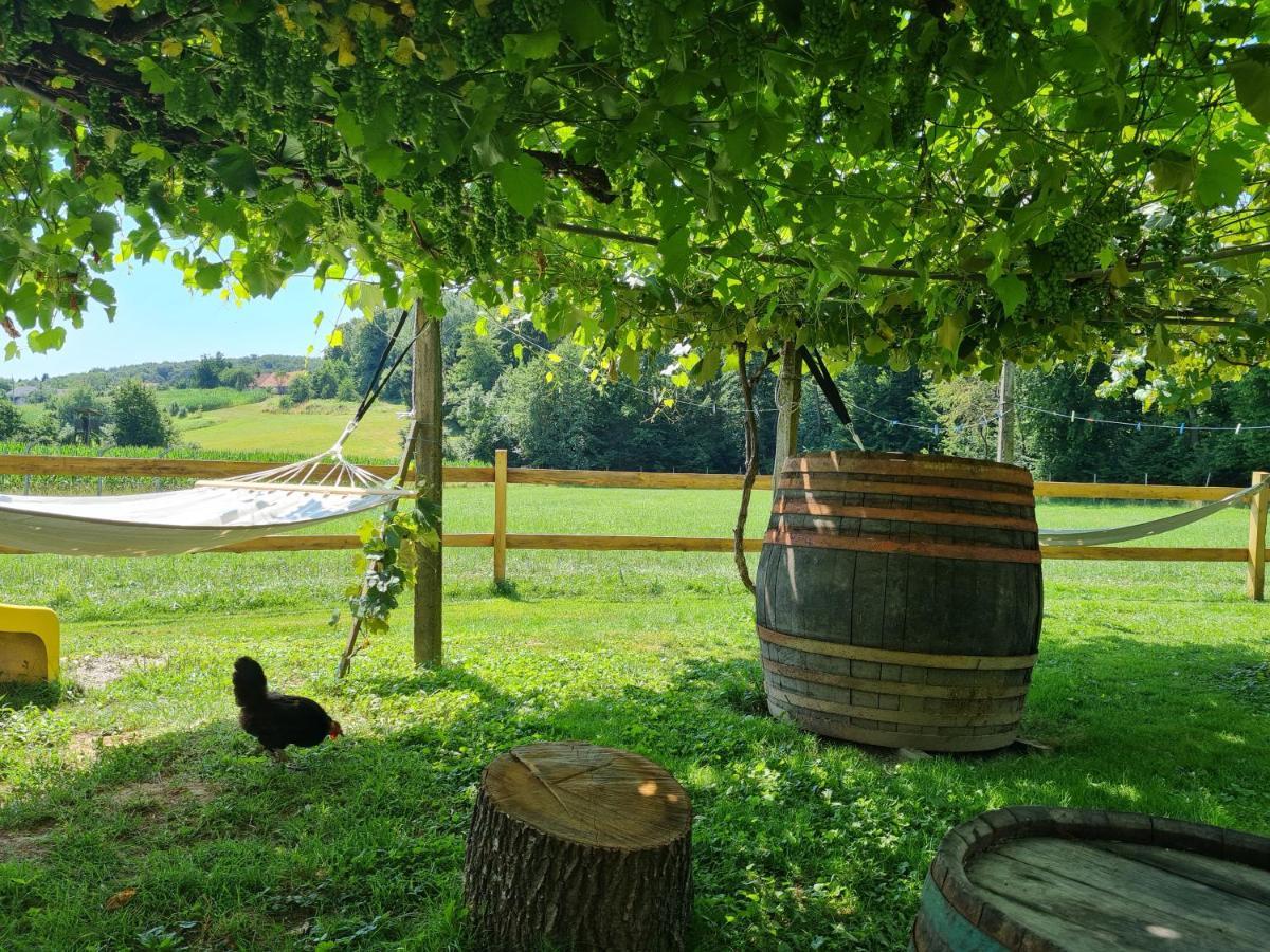 Villa Turisticna Kmetija Hisa Ob Gozdu Pri Ptuju Exterior foto